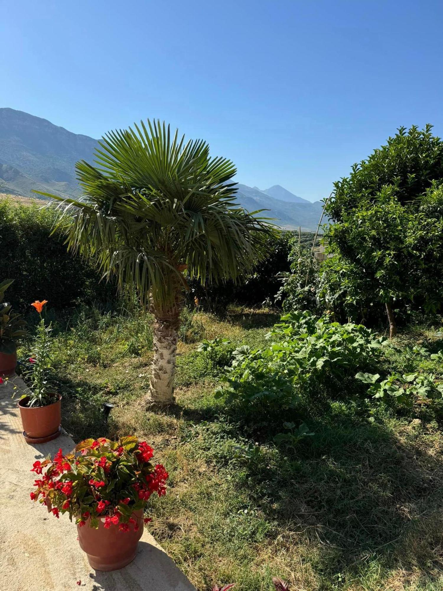 360° View Apartments Vlorë Esterno foto